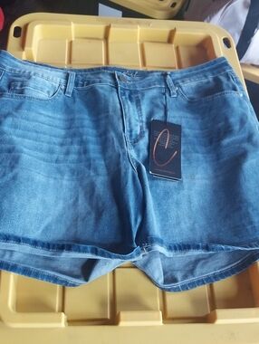 Copper Flash Jean Shorts
